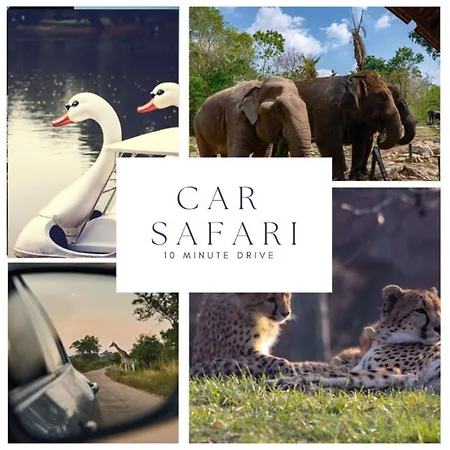 Spacious In Bed And Coffe Apartament *