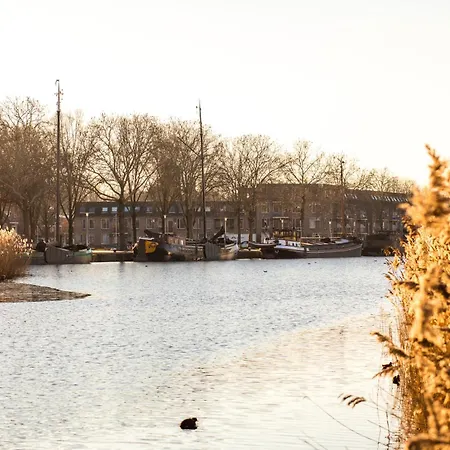 Spacious In Bed And Coffe